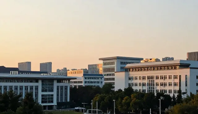 本地市场业务优化:两种做法的实际取舍
